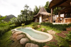 Sense Rain Forest - Image 3