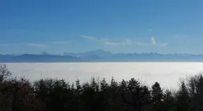Cozy Villa close to CERN, Geneva Airport, UN - Image 5