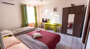 Green House - Image 2