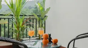 Aesthetic 2BHK Paradise in Siolim - Image 4
