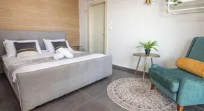 כינור דוד המלך במנות - Image 4