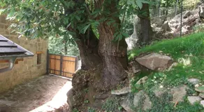 Agriturismo Ai Ronchi - Image 4