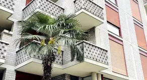 H o l y House - Image 3
