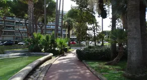 Palm beach Cannes Azur - Image 3