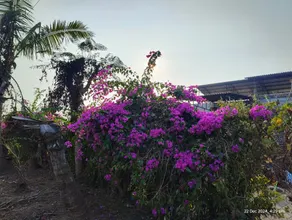 Gayatri Holiday Home - Image 4