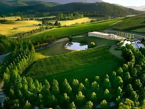 Valley Farm Vineyard Villas - Image 2