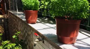 Relaxation Place - Image 3