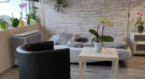 Baross apartman - Image 3