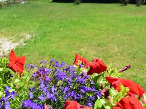 Quiet Chalet with Garden - Image 3