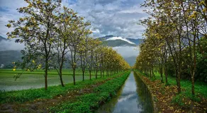 Hong Guo Homestay - Image 5