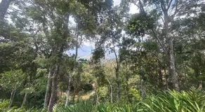 The Grand Sapphires Resorts in Munnar,Idukki Vaganon - Image 5