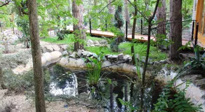 Ambiente - Image 4