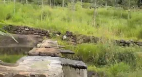 Hemavanam Forest Resort - Image 2