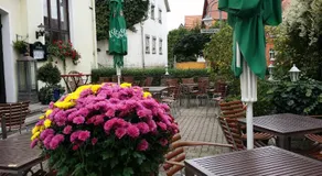 Hotel-Landgasthof Grüner Baum - Dittigheim - Image 3