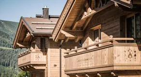 Farm Resort Geislerhof - Private Chalets - Image 4