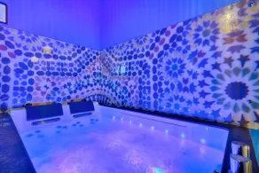 luxury Jardin Majorelle Jacuzzi proche paris orly - Image 5