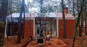 Bosquecielo - Image 5