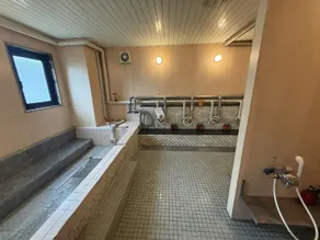Hotel Kamoike Plaza - Image 4