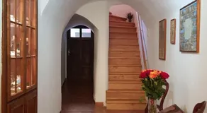 Modrá růže Třeboň - Image 5