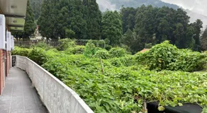 老老街 誠君民宿 - Image 4