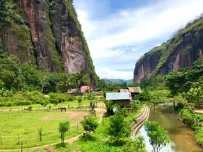 The Baiti Guesthouses Payakumbuh - Image 4
