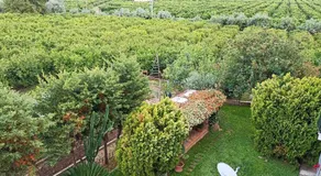 B&B Casa Gabriele - Image 4
