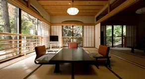 Oku Yugawara Tsubaki - Image 2