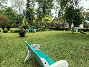 Tuskers Den Forest Resort - Image 4