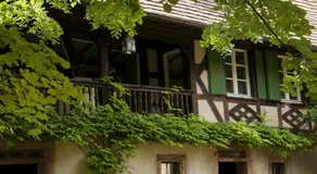 Unter der Linde - Image 5