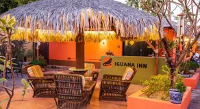 Iguana Inn - Image 2