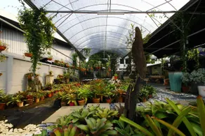 The Green Cottage - Image 4
