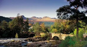 Woodland Chestnut Lodge - Image 5
