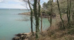 The Melville - Image 5
