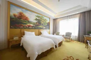 Vienna International Hotel Shanghai Malu Station - Image 5