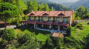 Aphrodite's Inn Kalavrita - Image 3