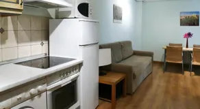Apartamentos Rurales Altuzarra - Image 3