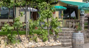 Wirtshaus Restaurant Pension Steirerland - Image 4