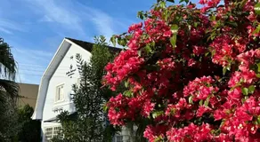 Hotel Jardim Bulevard - Image 4