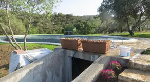 La Calendula - Image 5
