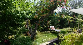 Particulier - Image 4