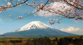 Hakone&Odawara private house Exclusive use - Image 4
