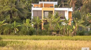 The Paddy Breeze Villa - Image 4
