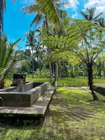 tarotours accommodations - we manage different guesthouses in taro village - Image 2