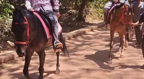 Hotel President House Matheran - Image 3