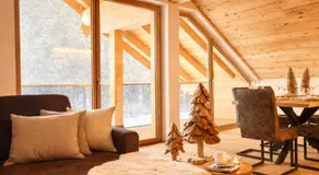 Alpen Luxury Lodge, MARIAZELL - Image 2