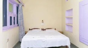 Jungle Lodge - Image 2