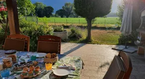Les champs dorés - Image 3