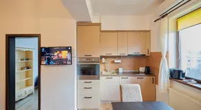 Cozy 3 Bedroom Apartments In Centre of Iasi Palas Mall - Image 2