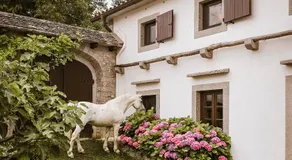 Tmbin's barn - nature, horses, family - Image 4