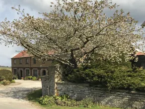 Blick auf die Landschaft-Cottage-Hütte-Eigenes Badezimmer - Image 3